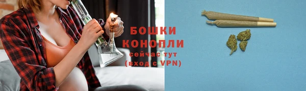 крисы Магадан