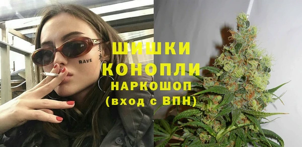 прущие крисы Магас