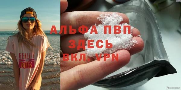 прущие крисы Магас