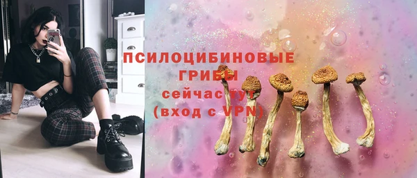крисы Магадан