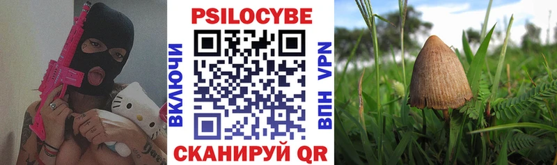 Псилоцибиновые грибы ЛСД купить наркотик Ангарск