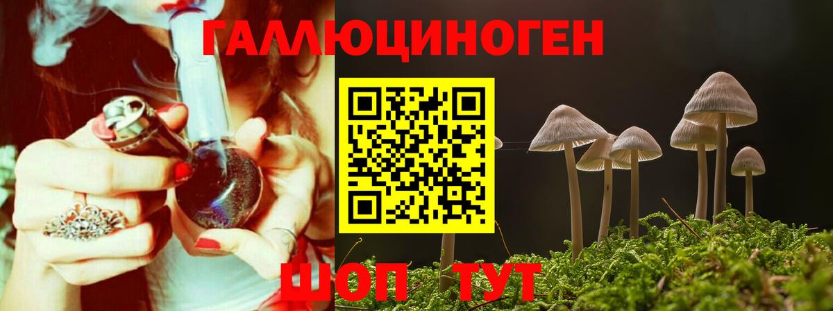 Галлюциногенные грибы MAGIC MUSHROOMS  продажа наркотиков  Вход с VPN  Ангарск  Псилоцибиновые грибы MAGIC MUSHROOMS 