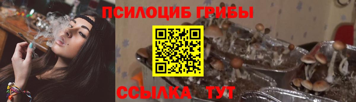 Псилоцибиновые грибы мухоморы Ангарск